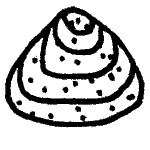 Icon clam.png