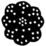 Icon doily.png