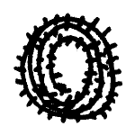 Icon barbedwire.png