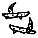Icon shoes crab.png