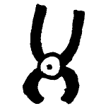 Icon shroompliers.png