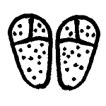 Icon shoes sand.png