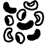 Icon chilibeans.png