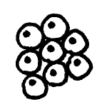 Icon fisheggs.png